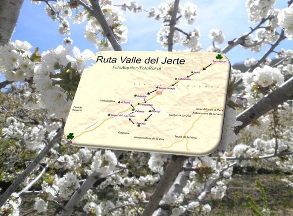  Valle del Jerte 
